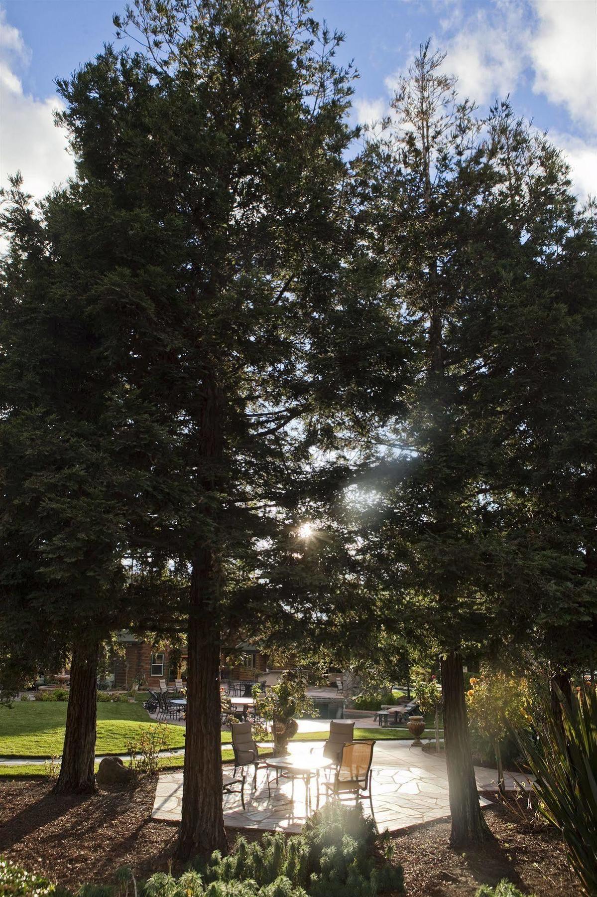 Purple Orchid Resort & Spa Livermore Exterior photo